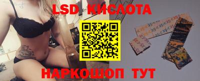 гашик Новозыбков