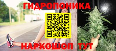 СК Бузулук