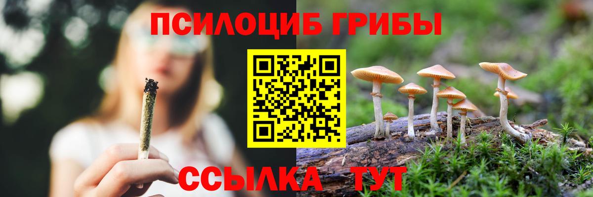 Псилоцибиновые грибы мицелий  Псилоцибиновые грибы Psilocybe  Ступино  Вход с VPN 